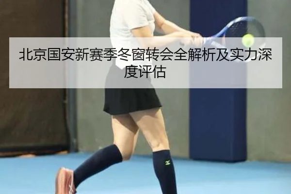 北京国安新赛季冬窗转会全解析及实力深度评估